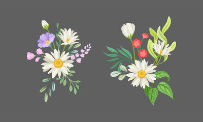 Set of bunches of wildflowers and chamomiles, decorative floral design vector illustration