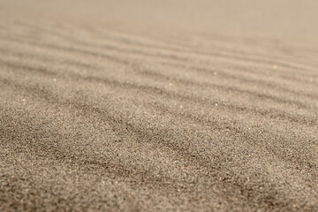 Surface of a sand dune. Close-up look. Selective focus.