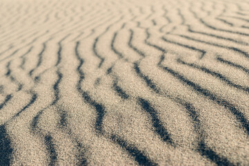 Fototapeta na wymiar Wind traces on the surface of a sand dune. Dark and light stripes. Surface of a sand dune. Close-up look. Selective focus.