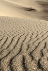 Wind traces on the surface of a sand dune. Dark and light stripes. Surface of a sand dune. Close-up look. Selective focus.