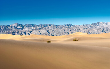 Fototapeta na wymiar Deserted landscape. Sand dunes and desert rocky mountains. Sand dunes against a blue sky.