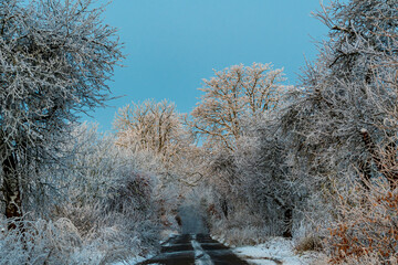 Eine Winterlandschaft im Dezember