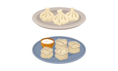 Set of dumplings on plates. Khinkali and manti, dough stuffed with meat or vegetables vector illustration