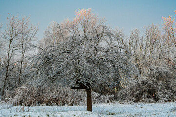 Eine Winterlandschaft im Dezember