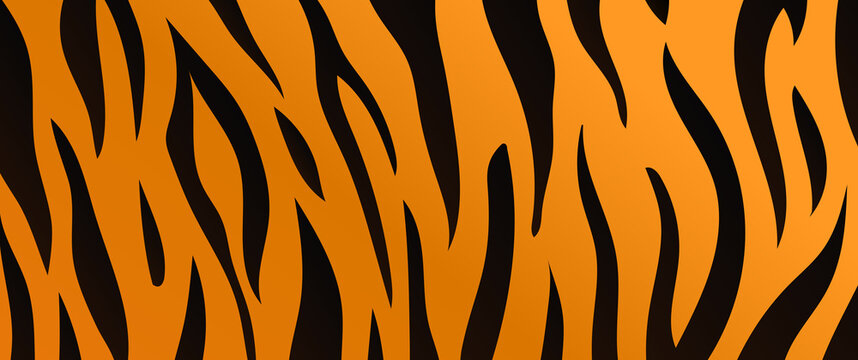 Tiger skin texture background. Tiger fur with black and orange stripes vector background.