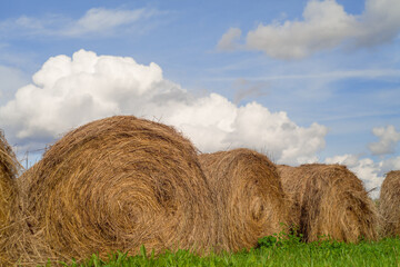 Hay, rolled into a roll, lies on the field. In the background is the sky with clouds.