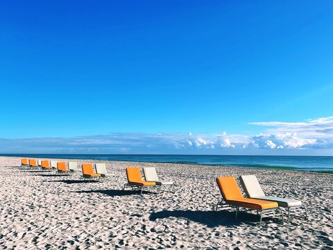 Rows of empty sun loungers on beach, Miami, Florida, USA