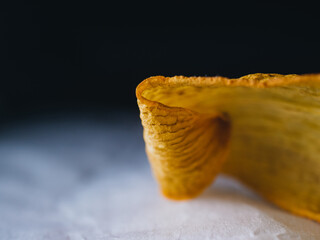 Close up of a dry flower petal
