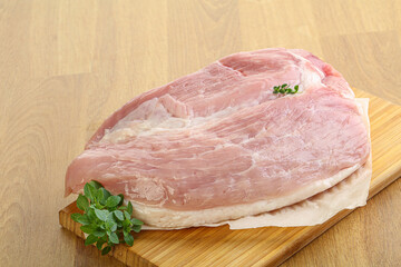 Piece of the raw pork meat