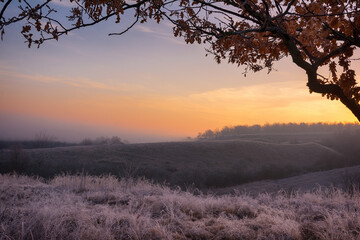 Sunrise landscape with tree and grass in frost