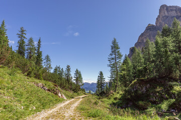 Obraz premium Scenic path through a gorge in the Dolomites on a sunny summer day (Nature park Puez Odle)