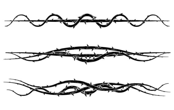 Blackthorn branches with thorns set.