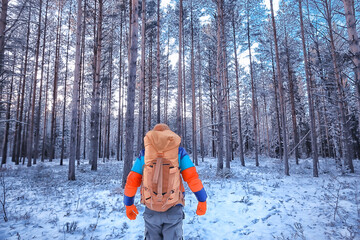 man traveler with a backpack in the forest, winter view in the american forest, north america...