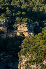 Fototapeta na wymiar Rocky walls with reddish tones and pine forest in the Siurana mountains, Tarragona, Cataluña, Spain.