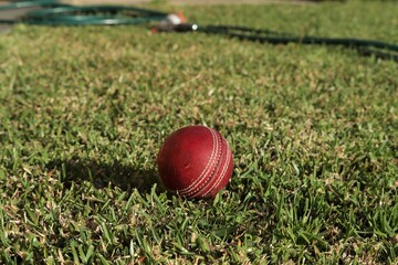 Worn red leather cricket ball on backyard lawn in Australia at sunset