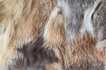 Beautiful luxury gray and brown mixed fur background texture
