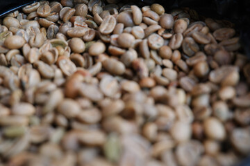 Robusta raw coffee beans. Temanggung robusta green coffee, Indonesia which has not been sorted yet