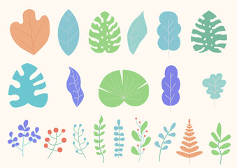 Set of Tropical Leaves