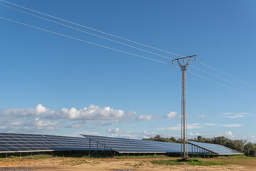 Fototapeta premium Photovoltaic solar energy park on a sunny day