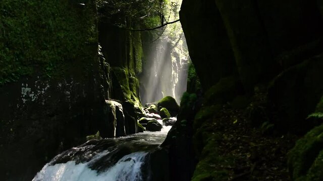 新緑の菊池渓谷　逢ぞめの滝