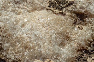 Salt crystals on the coastal rocks