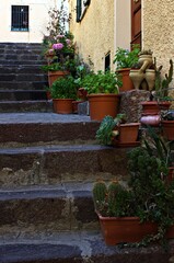 Fototapeta na wymiar Italy: Pots of plants and flowers on the old staircase.