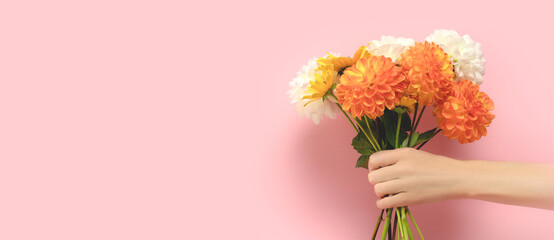 Banner with female hand hold bouquet of dahlia flowers in front of pink pastel background. Woman giving gift for Mothers Day.