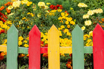 decorative multi-colored wooden fence near the flower bed