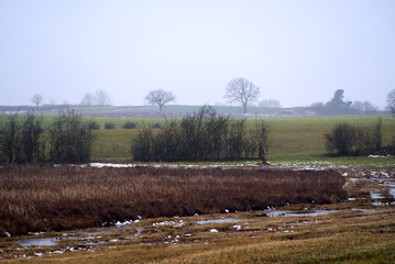 Beautiful winter landscape with moor, reed and trees at nature preserve near the airport. Photo...
