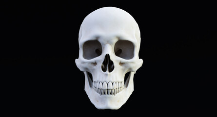 white human skull isolated on dark background, 3D render
