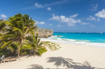Foto op Plexiglas Bottom Bay in Barbados © Fyle