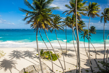 Bottom Bay tropical beach in Barbados