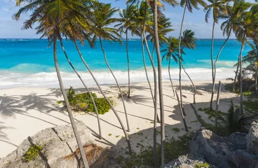Foto op Plexiglas Bottom Bay tropical beach in Barbados © Fyle