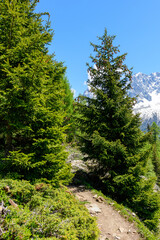 A cliffside hiking path in the Mont Blanc massif in Europe, France, the Alps, towards Chamonix, in summer, on a sunny day.