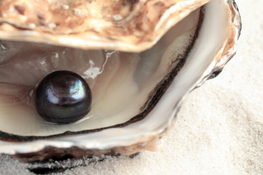 Open oyster with black pearl on sand, closeup