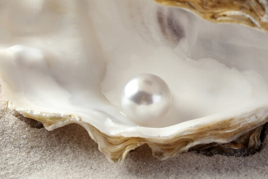 Open oyster with white pearl on sand, closeup
