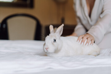 White decorative rabbit