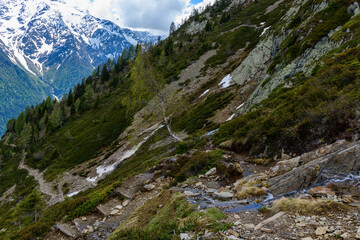 Fototapeta na wymiar A hiking trail on the edge of the aiguillette des Houches in the Mont Blanc massif in Europe, France, the Alps, towards Chamonix, in summer, on a sunny day.