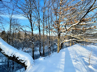 The shore of the river Ozerna in winter. Russia, Moscow region, Ruzsky district