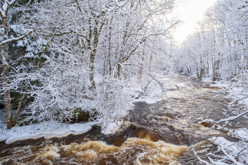 River flowing in a forest with frost a winter day