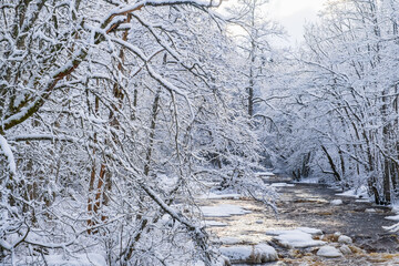 River in a wintry landscape with hoarfrost on the trees