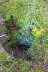 Old dug water well in a forest