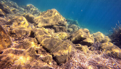 Underwater world of Mediterranean Sea. Near Marmaris, Turkey