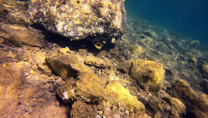 Underwater world of Mediterranean Sea. Near Marmaris, Turkey