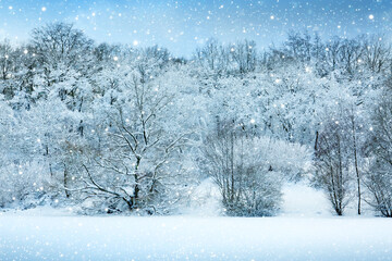 Winter landscape with snow covered trees .Christmas background.