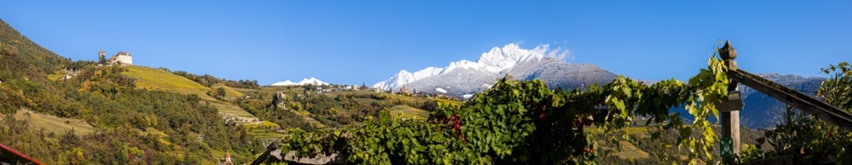 Sarntaler Alpen mit dem Ifinger / Südtirol Bozen / Panorama