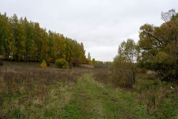 landscape on a cloudy autumn day