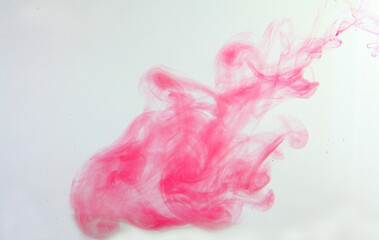 pink sponge on white