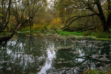 landscape on a cloudy autumn day