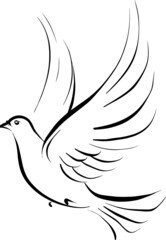 Abstract Bird Logo Template. Simple pigeon vector tattoo tribal.